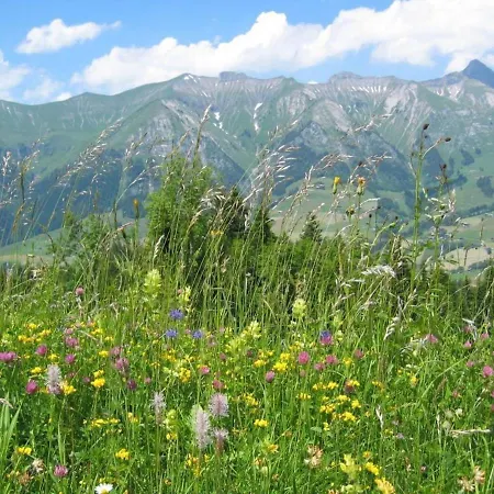 Alpine With Stunning Views